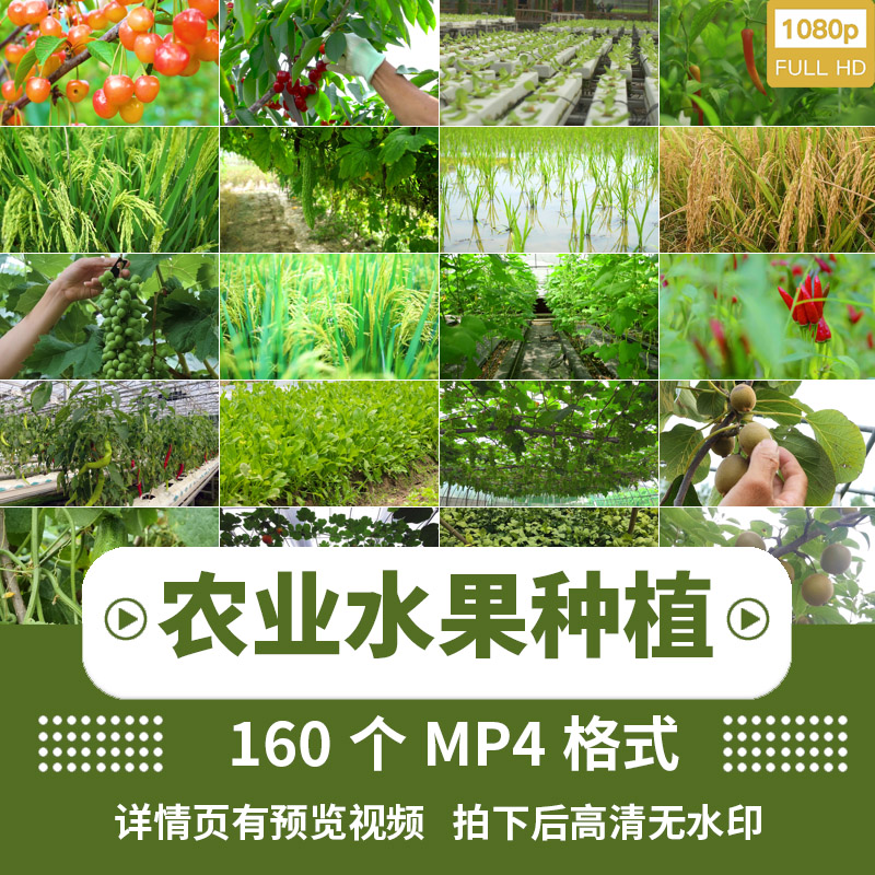 绿色农业方法对果蔬种植的长期可持续性影响