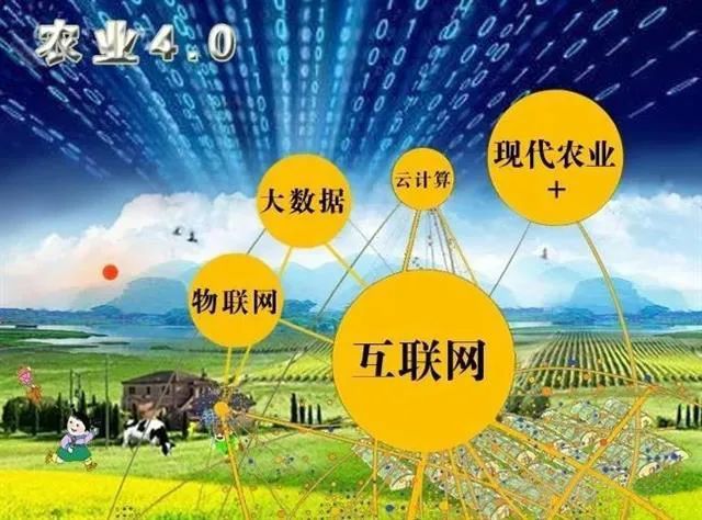 数字化农业助力果蔬种植应对气候变化挑战