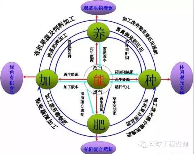 生态农业对果蔬种植质量的提升作用