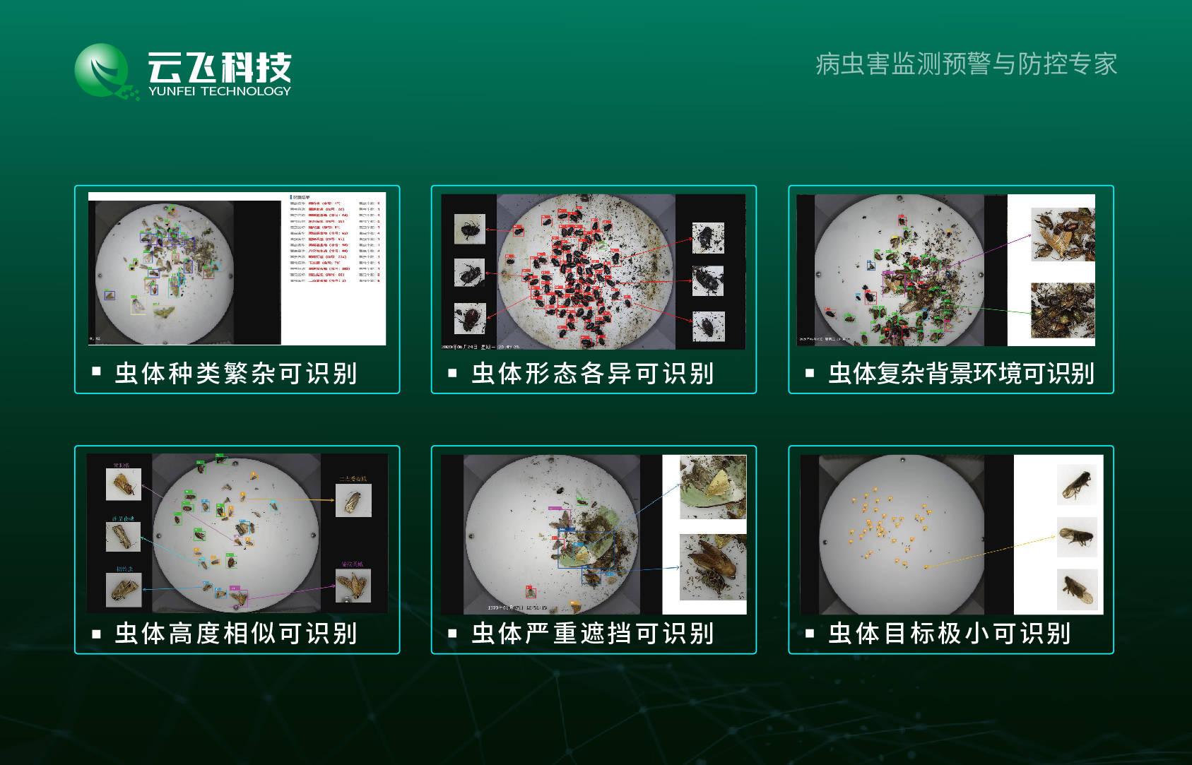 果蔬种植中的生物防治新技术介绍