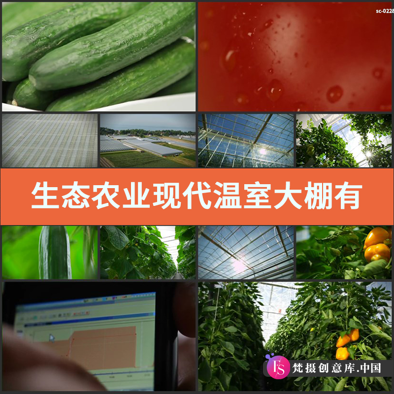 从生态农业看果蔬种植的未来趋势