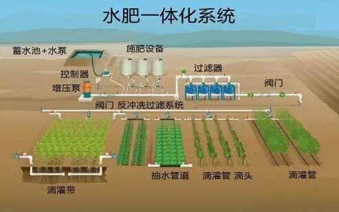 果蔬种植中的质量控制流程解析