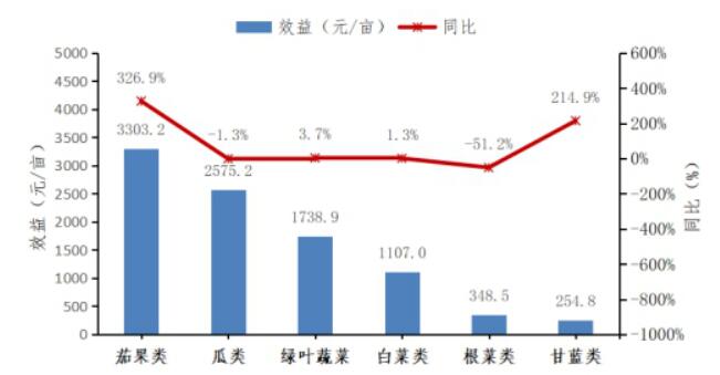 小规模果蔬种植的经济收益分析