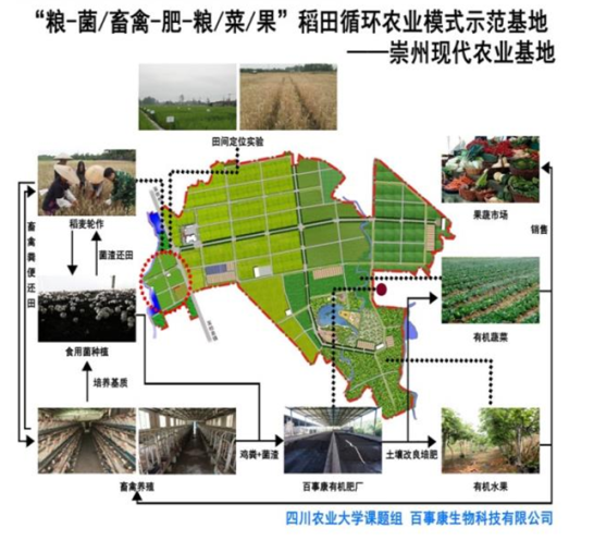 基于绿色农业的果蔬种植模式创新