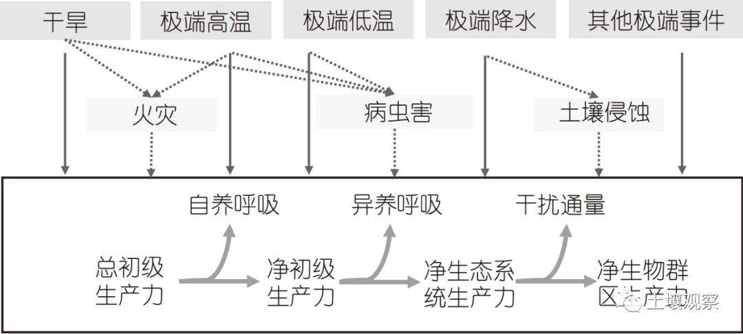 结合气候变化的果蔬病虫害管理策略