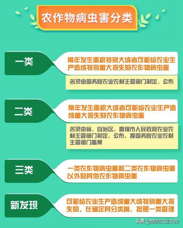 有效控制果蔬病虫害的实用方法