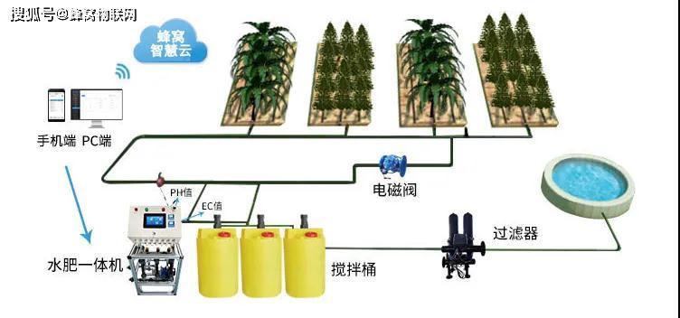 包含高效果蔬灌溉系统的设计与实施指南的词条