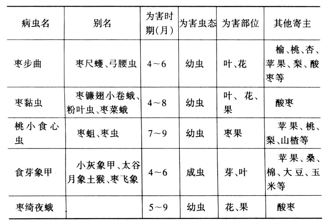 果蔬种植中的常见害虫及其病害影响