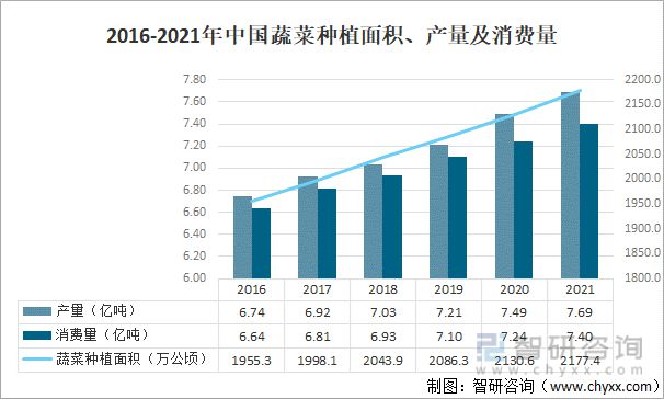 如何通过市场定位优化果蔬种植