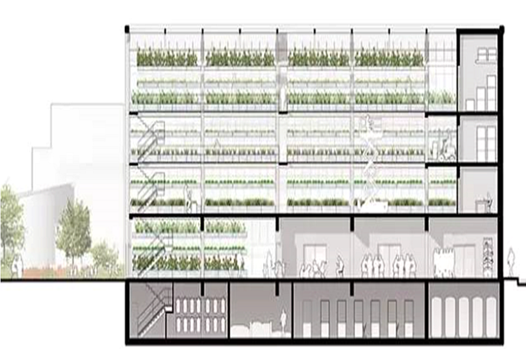 家庭农场如何利用空间种植多种果蔬