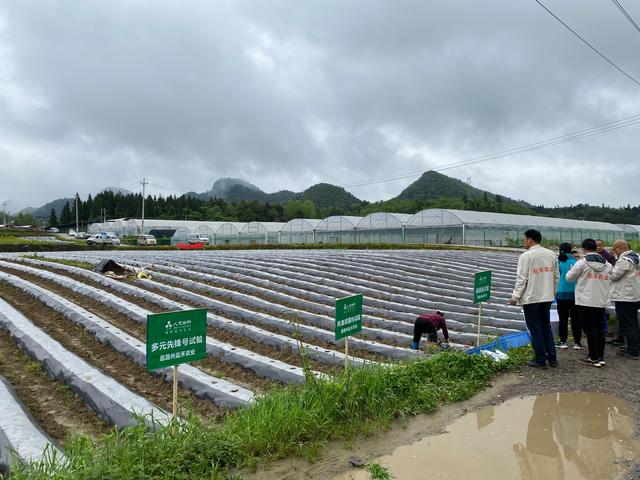 从土壤测试结果看果蔬生长的最佳条件