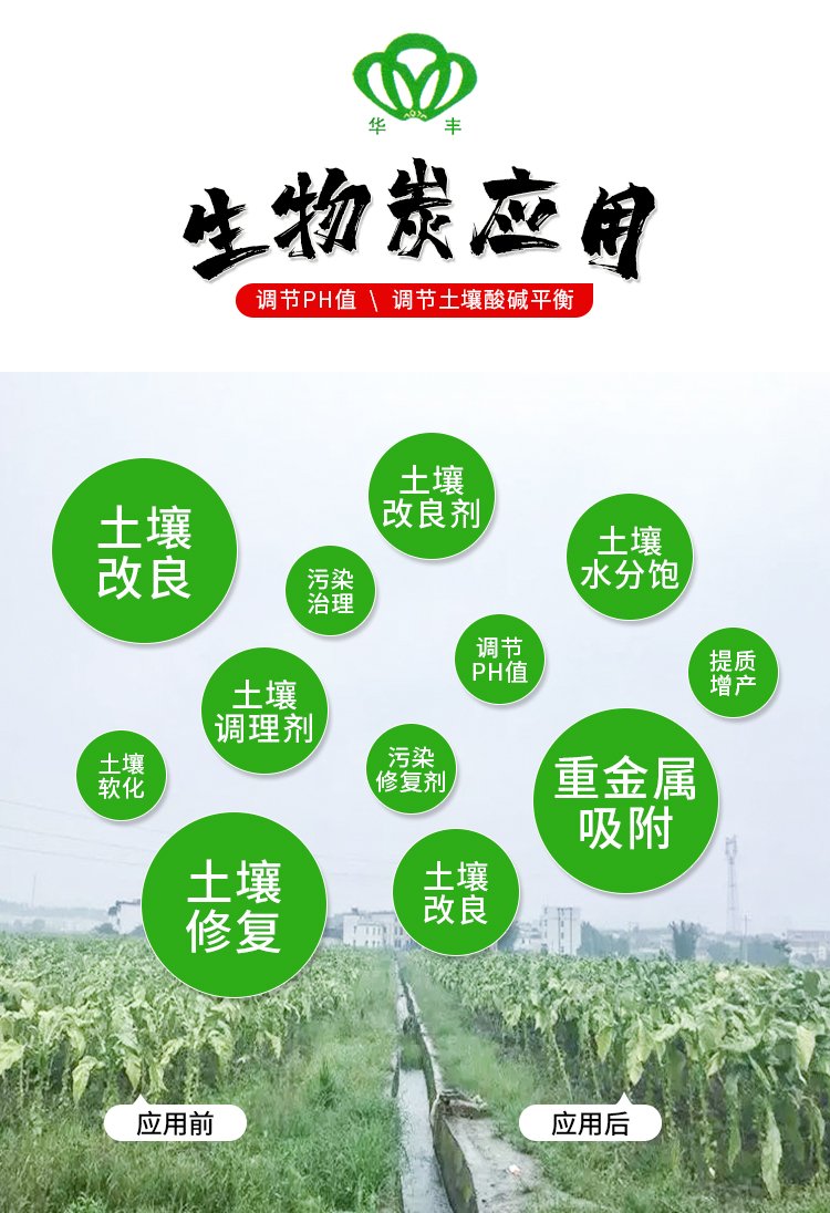 土壤营养元素对果蔬种植的作用及调节