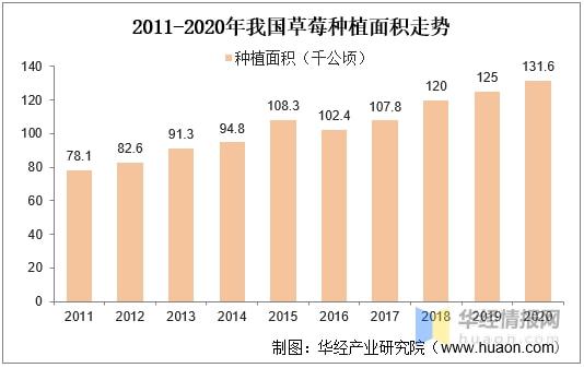 如何利用数据分析提高果蔬种植效率