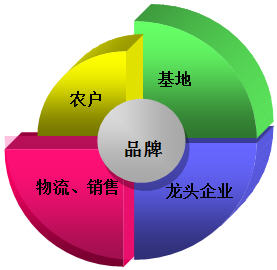 生态农业模式对果蔬种植经济效益的影响分析