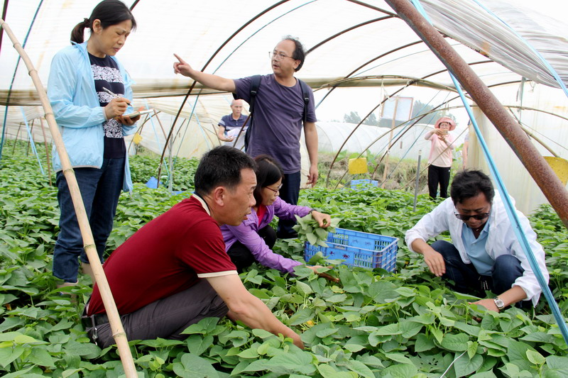 绿色农业技术在果蔬种植中的应用探讨