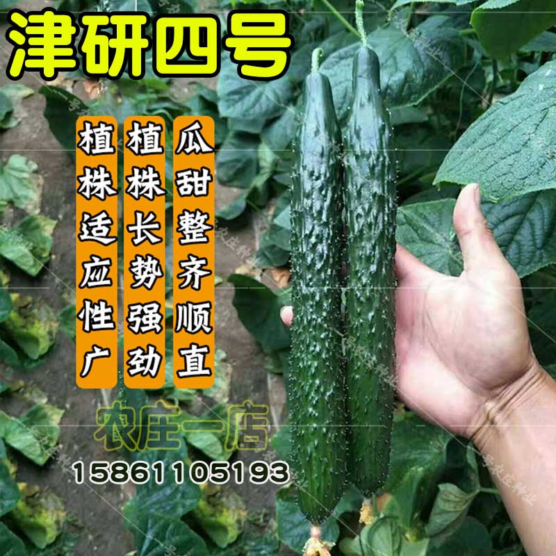 果蔬在不同气候条件下的生长适应性